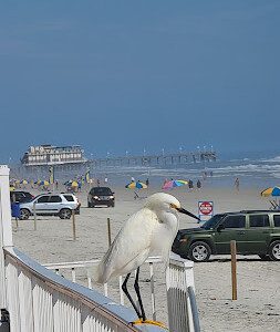 e388df09 df9a 4505 a593 a0aa454d3a3f.jpg