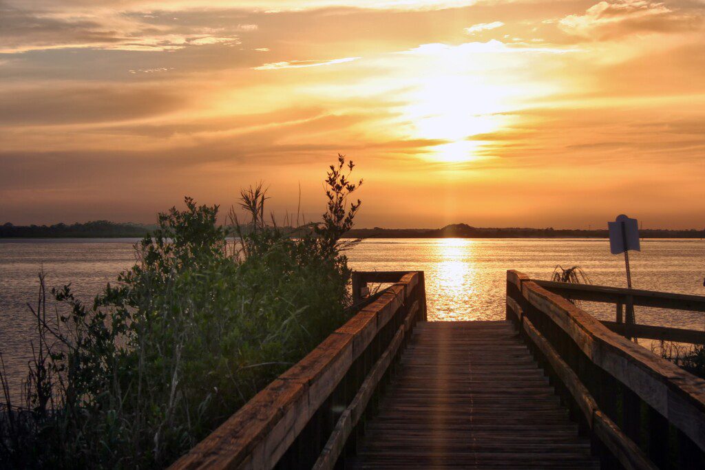 beed5f41 557a 4b00 8734 b9ef679a73de.jpg