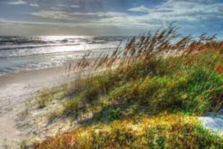 14771cfc 1cf9 4aab bc42 3b8be7c29f29