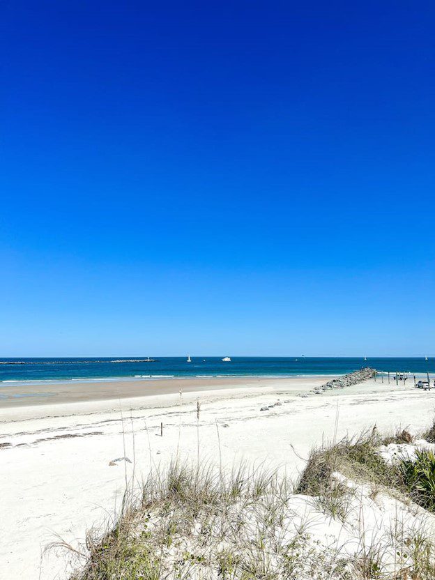 1eb3c233 cc4d 4b36 944b e96d0cc4a4b1