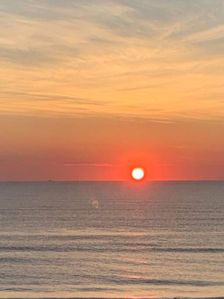 2a1dd0f5 f452 4796 ad72 428acd7fafb6