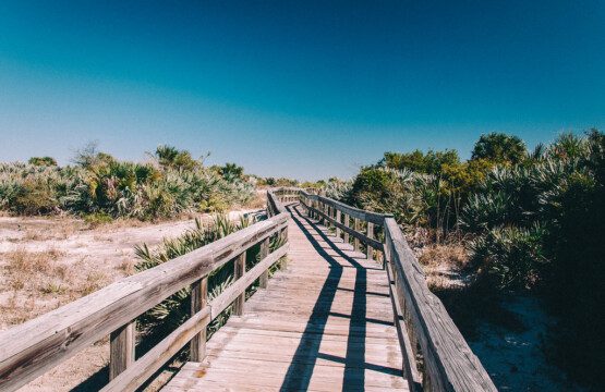 3352c6e8 f829 48e6 9706 e51464437fb9