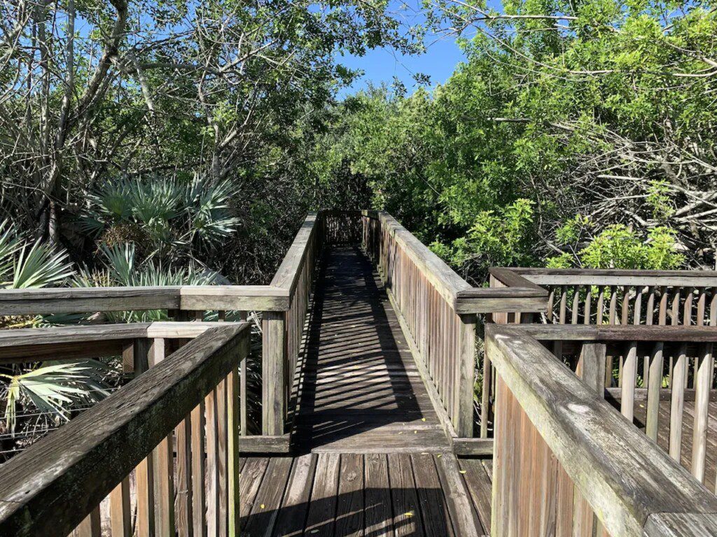 a4ac72bb ef8d 45f2 b33f d5d8b16b4e51