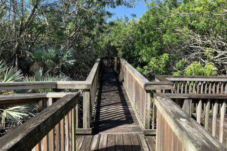 a4ac72bb ef8d 45f2 b33f d5d8b16b4e51