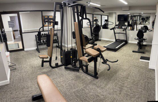 ba589f48 ada5 470b aab3 06dd117c9fea