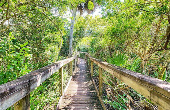 d30c840f 30a4 4c18 bdfe 33c0cb9708ea