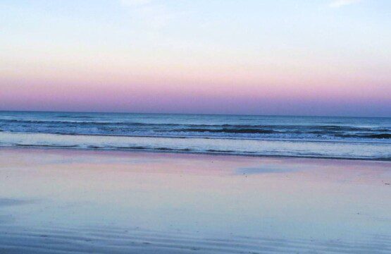 f086d058 c4a1 413c 802a b4e2721a1e9c