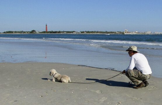 f151200d 9602 4476 a4bc 1078a97127a5